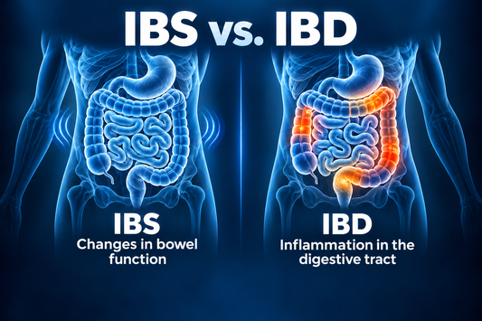 Anatomical comparison of IBS-related changes in bowel function and IBD-related inflammation in the digestive tract.
